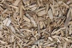 biomass boilers Budby